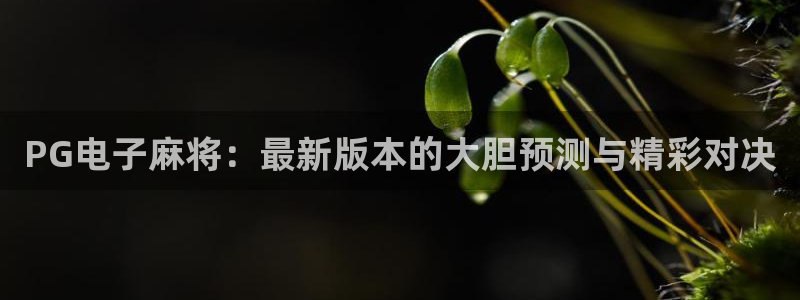 彩神vii