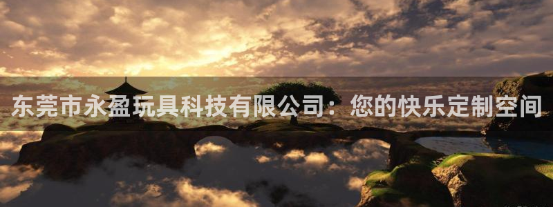 天天乐彩神：东莞市永盈玩具科技有限公司：您的快乐定制空间